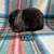 Bunnies 19 thumbnail