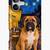 🐾 Van Gogh Pet Art Shirts & Gifts – Dogs, Cats & Starry Nights 5 thumbnail