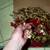 CHRISTMAS Decoration LOT Red Ruby Gold Star Garland Wreath Ornament 23 thumbnail
