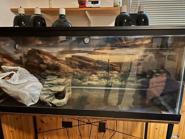 Bearded dragon tank 1