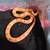 Corn Snakes 1 thumbnail