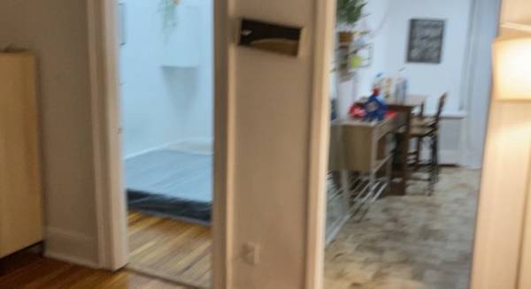 Brite&sunny 1BR nrNW Astoria Blvd/BQE pets ok guarantor ok furnishedok 1