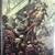 Walking Dead COMIC BOOKS 5 thumbnail