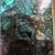 ABALONE SHELL BOX FROM 1968 3 thumbnail
