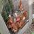 Chickens, hens and a rooster 2 thumbnail