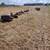 Farm implement items 1 thumbnail