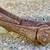 antique cattle stanchion Cow Dairy Farm 8 thumbnail