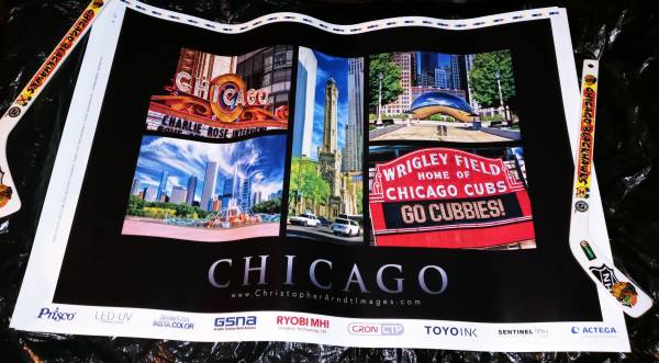 Chicago Theater Wrigley Field Cubs Bean Buckingham Fountain New Poster 1
