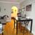 Beautiful, renovated, Large 4 1/2 , art deco, AAA location 7 thumbnail