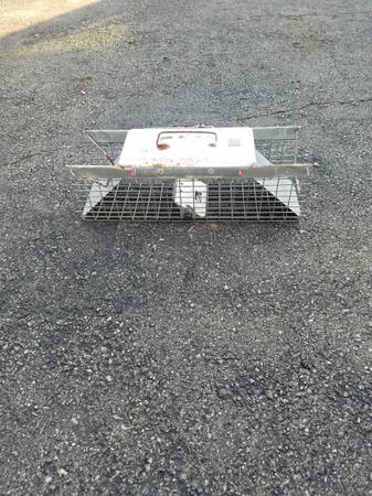 havahart squirrel trap 1