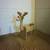 Rudolf Rednose Reindeer 3 thumbnail