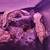 Crested gecko breeding pair 5 thumbnail