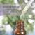 New in Case NowSolutions Holiday Cheer Gift Case Essential Oils 8 thumbnail
