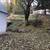 410 E James 17 thumbnail