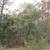 Scenic Lot with Power Access for Only $143 Down – Izard County, AR 3 thumbnail