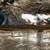Crawlspace Repair,Insulation,Painting,Gutter Cleaning,Roofing,Wood Rot Repair 9 thumbnail