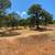 30 Acres Beautiful valley view 8 thumbnail
