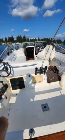 Bayliner Ciera Sunbridge 1