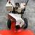 Snowblower Antique - Jacobson Imperial 626 - late 60’s 9 thumbnail
