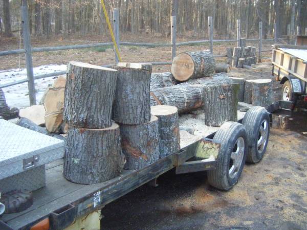 Camp Fire Starting Wood ~ Boxed - Also Large Firewood or Campfire Wood 1