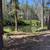 Mining Claim 4-Sale on 40 acre 2 thumbnail