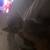 Kitten 1 thumbnail