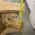 19th Century Style Table Base 8 thumbnail
