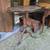 **ANTIQUE FURNITURE LOT** 16 thumbnail