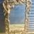 2 French Italian Mirrors 41” OR 49” Vintage Gilded Hardwood Antique 1 thumbnail