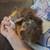Guinea pig and supplies 1 thumbnail