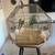 pineapple conures and green cheek 2 years old  selling both $400 2 thumbnail