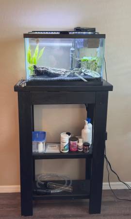 Betta Fish With Tank, Stand, and Accessories 1
