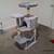 Kitten and stuff 18 thumbnail