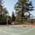 1BR/1BA PET-FRIENDLY APARTMENT WITH GRANITE COUNTERS 12 thumbnail