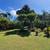 Prime Location Beside Hilltop Hotel! Price Reduce For Quick Sale! 12 thumbnail