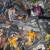 Transformers Beast Wars 4 thumbnail