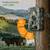 NEW Trail Camera, 5K 60MP Game Camera with No Glow Night Vision, 150°W 6 thumbnail