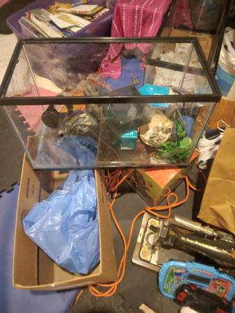 Aquarium / fish tank 1