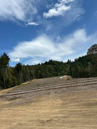 $129,000 Redwood Hwy (31.94 acres) Owner may carry (O'Brien)64318775772801121