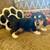 Male dachshund puppy 1 thumbnail