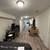 hampden basement studio apartment, private entrance all utilities incl 6 thumbnail