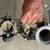 Ducati 916 1995 THROTTLE BODIES FUEL LINES DUAL INJECTORS FUEL LINES 4 thumbnail