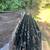 Pointed Tip STEEL PANEL FENCING 2 thumbnail