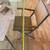 Modern glass dining room table 9 thumbnail