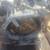 ★2005-2008 TOYOTA CAMRY- AUTOMATIC TRANSMISSION -#MS4521★ 1 thumbnail