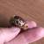 Estate Jewelry - Large Star Ruby & Diamond Pendant in Gold 5 thumbnail