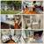 Charlevoix Home For Rent October 15 - May 15 2 thumbnail