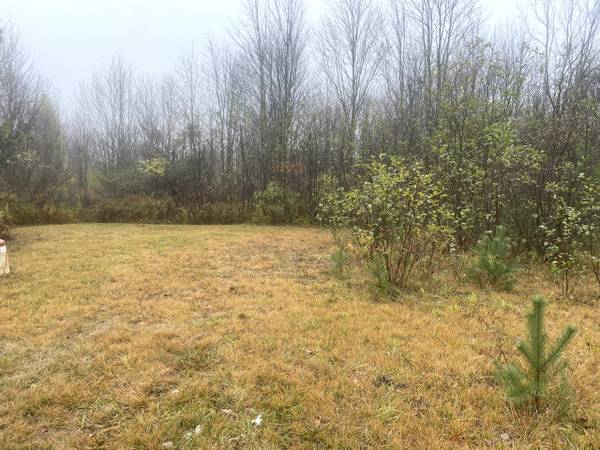 5 acre WOODED LOT in Birdsall NY
$20,900
Birdsall, NY 5 acre WOODED LOT in Birdsall NY
$20,900
Birdsall, NY