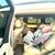 2016 Mercedes-Benz GL450 10 thumbnail