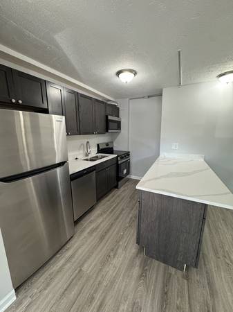 $1,450 / 1br - Rogers Park Remodeled 1 bedroom (Rogers Park)64041809421954122